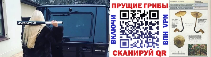 Купить  Воронеж  Псилоцибиновые грибы прущие грибы 